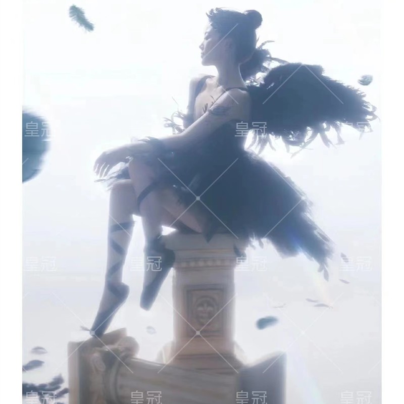 影楼新款黑天鹅暗黑系精灵少女主题写真摄影服装芭蕾舞蹈演出礼服