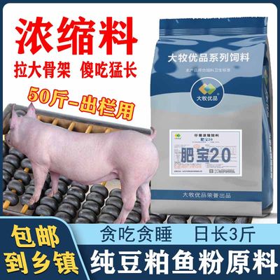 大牧优品中大猪饲料浓缩料