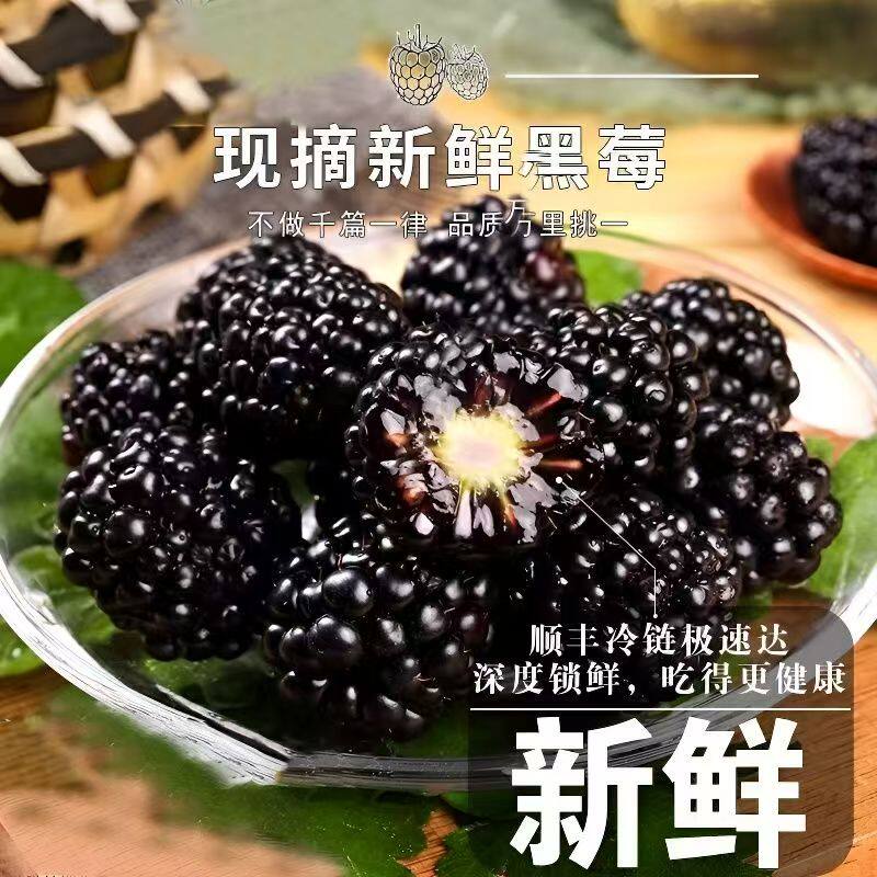 黑树莓鲜果新鲜黑莓当季覆盆子应季黑树梅商用一整箱孕妇儿童辅食