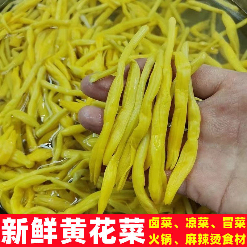 新鲜清水黄花菜凉拌菜火锅冒菜麻辣烫食材餐饮卤菜店商用金针菜
