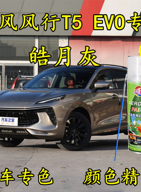 东风风行T5EVO原厂专用皓月灰色划痕修补手喷漆补漆笔防锈金属漆