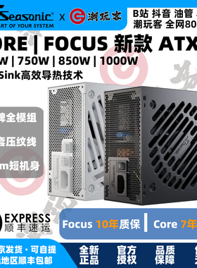 【潮玩客】 海韵FOCUS CORE GX650 GX750 GX850 GX1000 V4电源