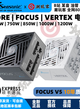 海韵电源FOCUSCOREVERTEX