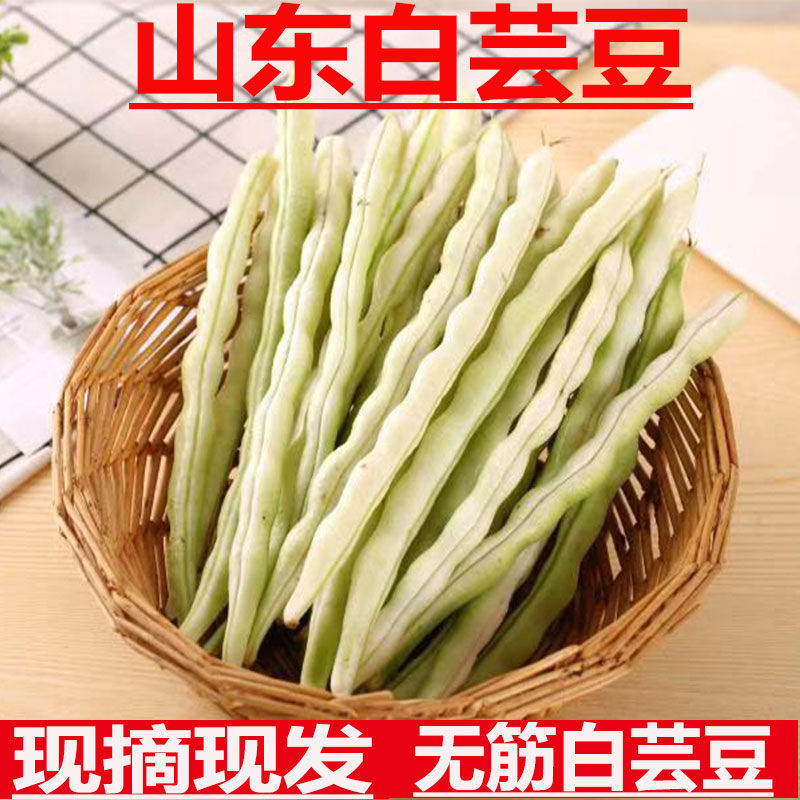 山东潍坊农家新鲜芸豆老来少扁豆白不老九粒白四季豆油豆寿光蔬菜