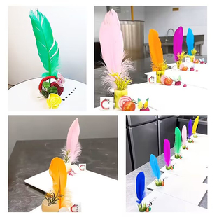 彩色装饰羽毛酒店摆件围边冷菜意境菜立体装饰羽毛点缀花草刺身摆