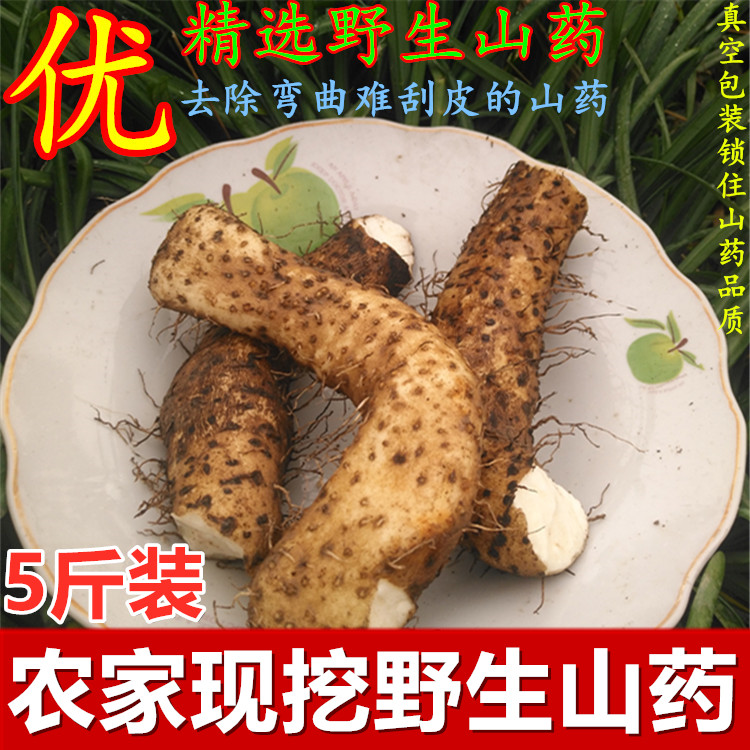 2送1斤 广西正宗野生山药5斤新鲜粉糯野山药野山薯山药淮怀山包邮