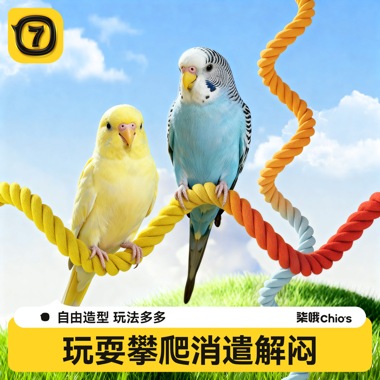 鹦鹉站杆棉绳造型随意摆动