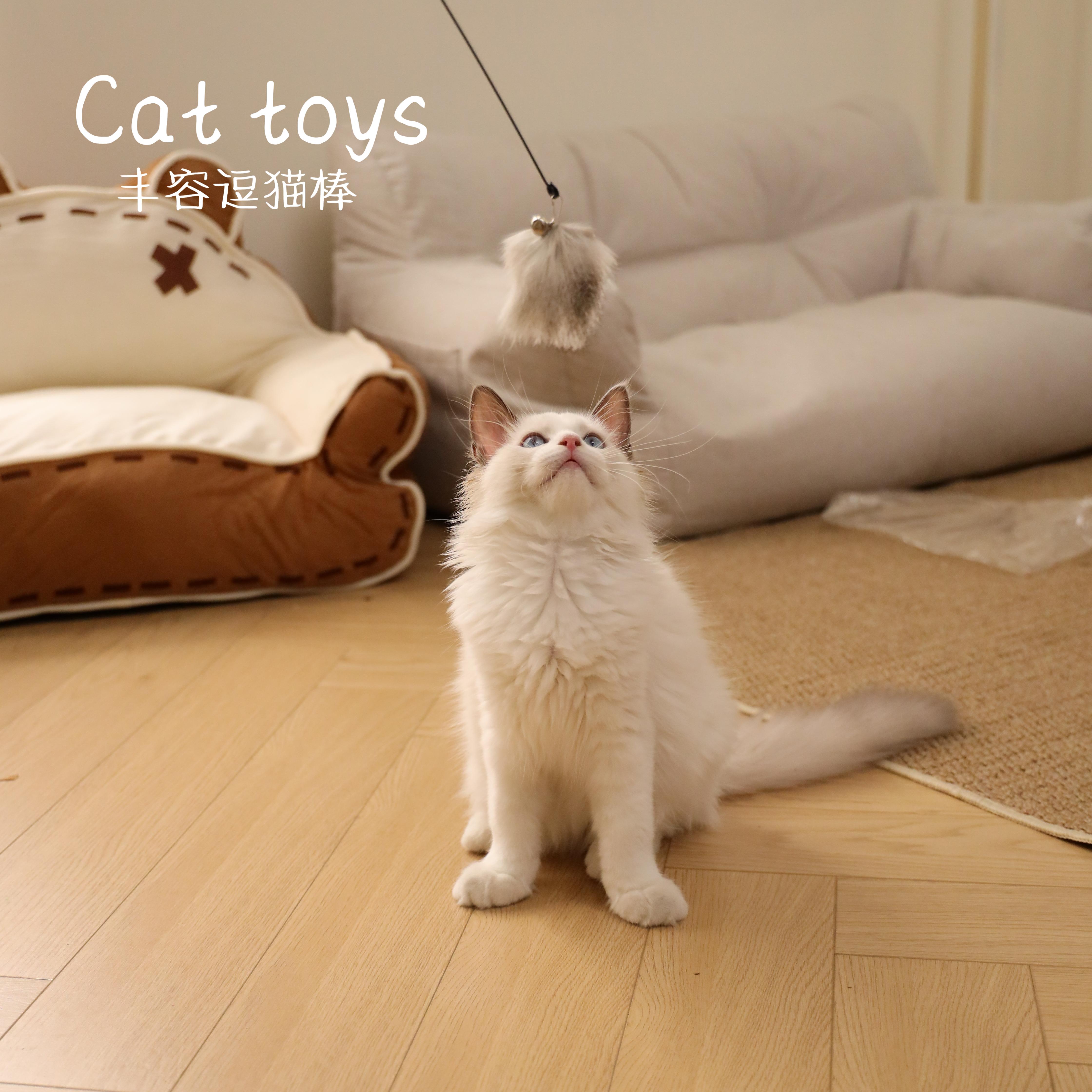 猫咪丰容逗猫棒羽毛替换头
