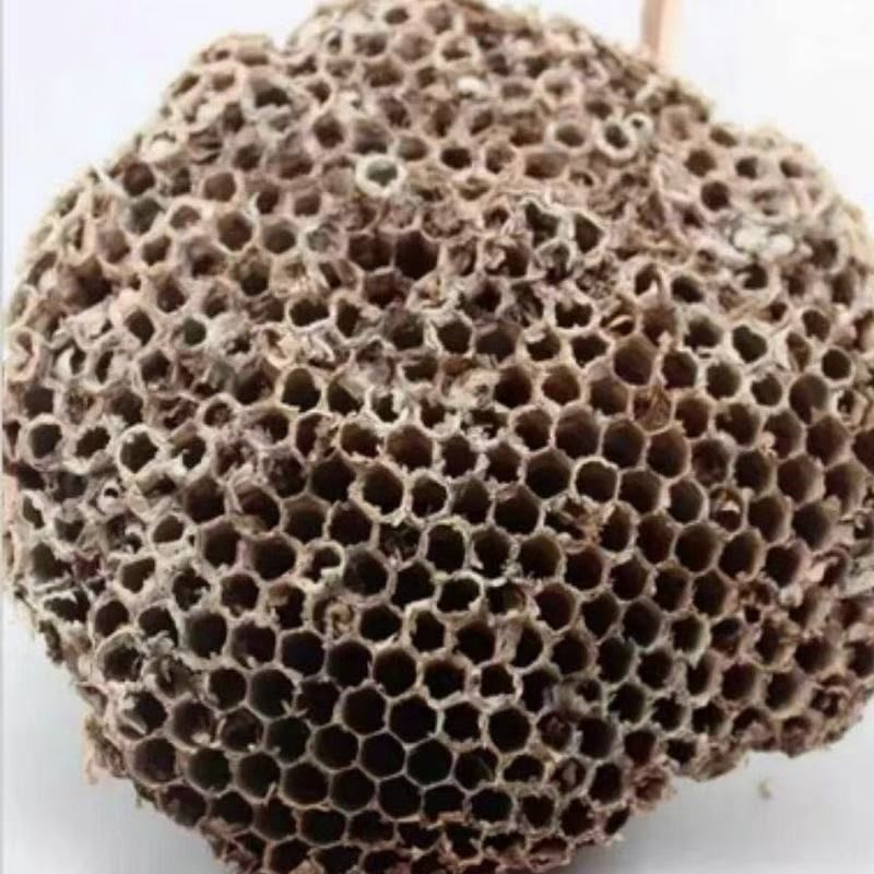 2026年新货野生马蜂窝蜂房中药材软蜂房露蜂房天然马蜂窝蜂巢黄蜂