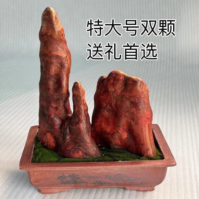 檀香木盆景送禮領(lǐng)導(dǎo)高檔辦公室提神擺件茶室四季檀木香味驅(qū)蚊盆栽
