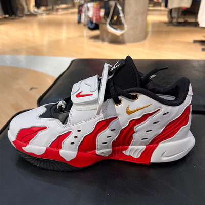 NIKE耐克詹姆斯LEBRON 21男子耐磨训练实战篮球鞋HV1222-100