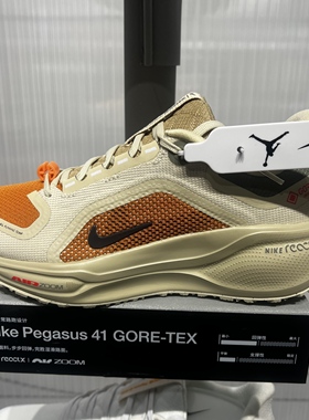 NIKE耐克女鞋AIR ZOOM PEGASUS 41 飞马运动缓震跑步鞋IM6700-852