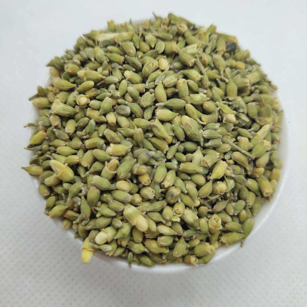 尚古经方用药 槐实  100g 槐米槐花茶 槐花中药材 消痔