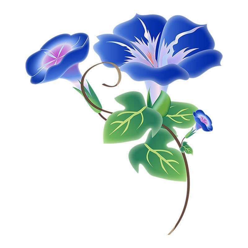 牵牛花卡通防水车贴 电动车装饰汽车划痕遮挡保险杠玻璃贴纸,汽车用品/电子/清洗/改装,汽车装饰贴/反光贴,淘宝优惠券,粉丝福利购,淘宝优惠卷