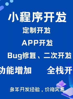 软件小程序修改开发定制修复bug二次开发php系统维护解决问题调试
