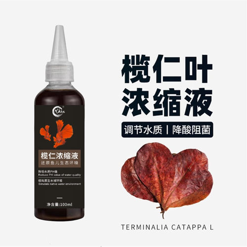 榄仁叶浓缩液斗鱼缸专用天然黄水