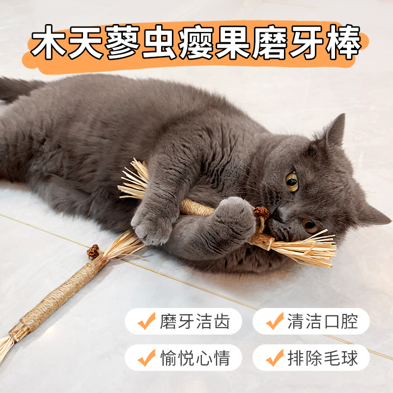 磨牙洁齿木天蓼排除毛球