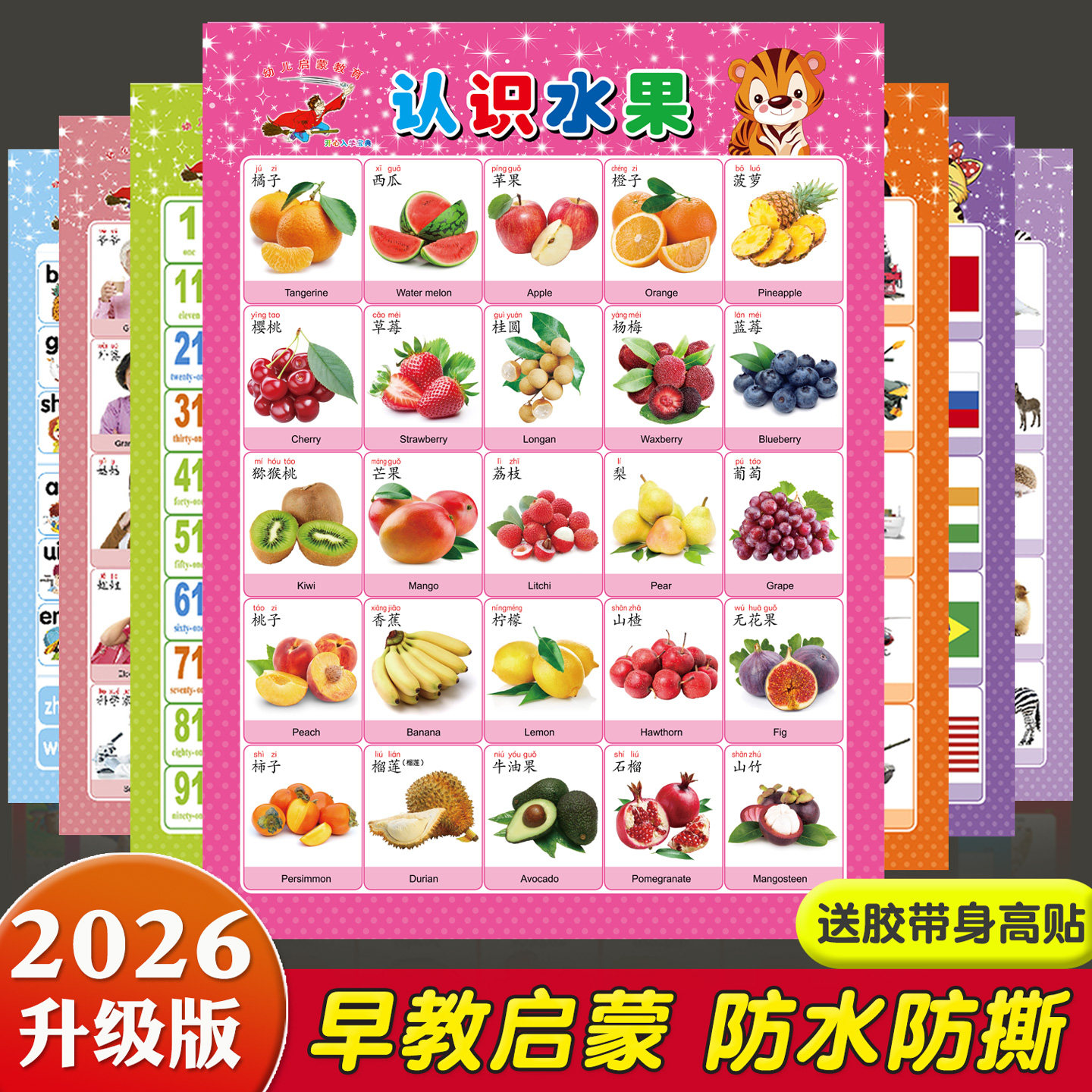 宝宝认知挂图儿童早教无声学说话挂图婴幼儿启蒙拼音识字卡墙贴画