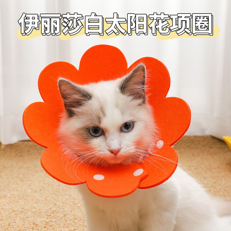 伊丽莎白圈猫绝育项圈防舔除跳蚤英短猫咪脖圈颈圈头套狗宠物用品