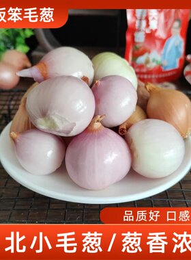 东北毛葱头农家特产蘸酱小洋葱头迷你圆红葱头烧烤店蒜蓉辣酱拌葱