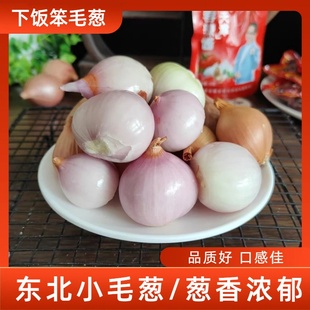 东北毛葱头农家特产蘸酱小洋葱头迷你圆红葱头烧烤店蒜蓉辣酱拌葱