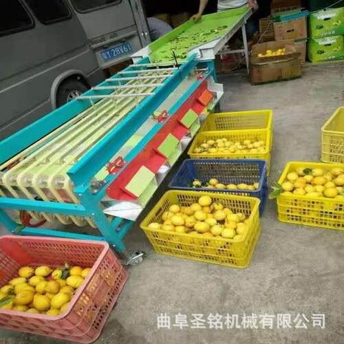 李子分选机 黄JDK桃大分选机设式连备小 续芋头大小分拣机