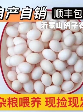 鸽子蛋新鲜30枚600克白鸽蛋土鸽蛋农家五谷杂粮喂养鸽蛋鸽场直发