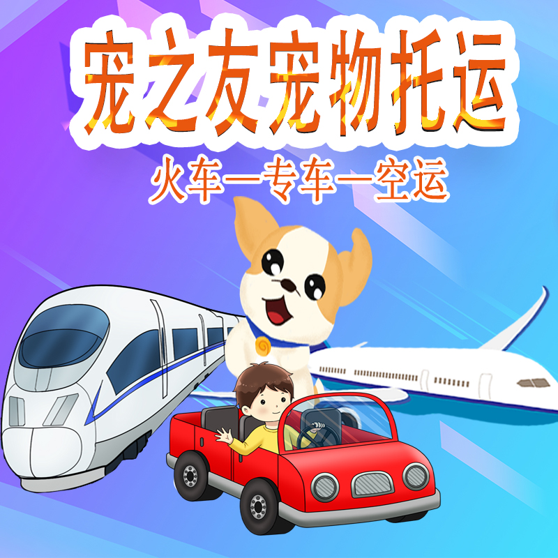 宠之友宠物托运北京上海广州深圳宠物托运
