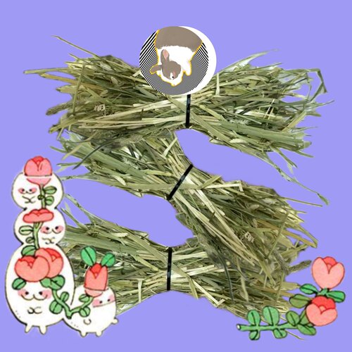 混合草加提美提澳麦进口混合兔子干草吃草的乐趣兔草豚鼠