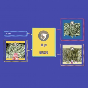 SP加提澳麦草段 量贩装专拍 多兔寄养兔舍兔子干草兔草龙猫豚鼠