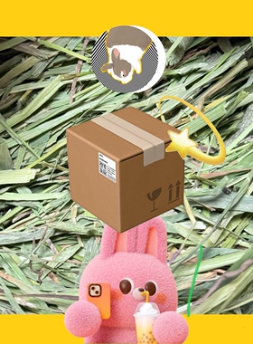 上海港箱装叶多SP加提一番25年新进口加拿大提摩西草兔子干草兔草