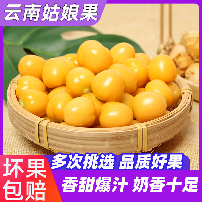云南姑娘果灯笼果黄金豆洋姑娘菇娘果新鲜水果当季皮薄精品整箱,水产肉类/新鲜蔬果/熟食,菇娘果/灯笼果,淘宝优惠券,粉丝福利购,淘宝优惠卷