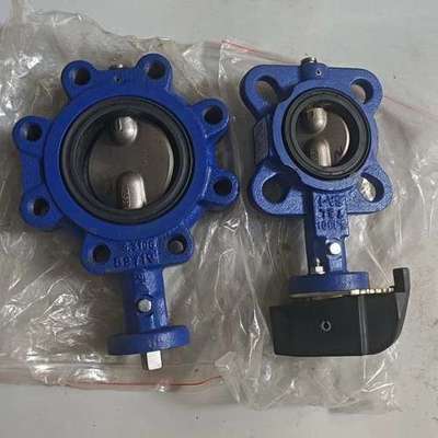 Centerline-Rane 法兰蝶阀 ALSD5B100