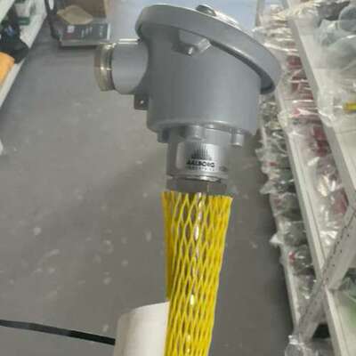 AALBORG温度传感器，型号AI 8060000025，1