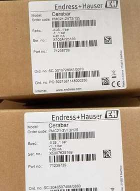 E+H恩德斯豪斯压力变送器Cerabar，型号PMC21-2