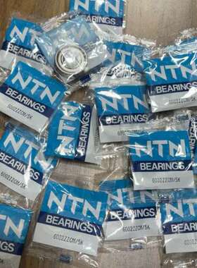 NTN日本轴承6002ZZCM/5K