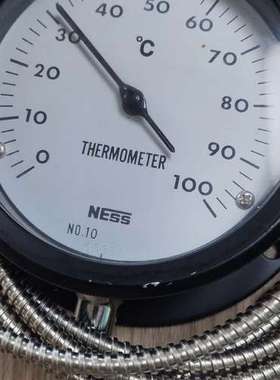 TUS-2S-S温度计NESS