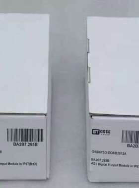 GSEE TECH吉诺模块GASI67SG-DO8
