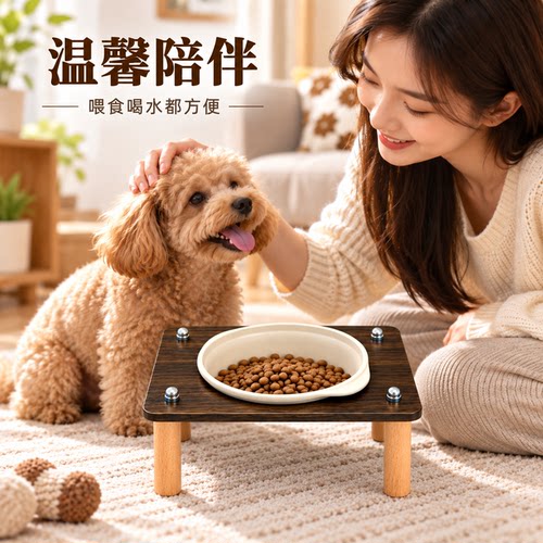 宠物用品猫碗狗碗安全易清洗