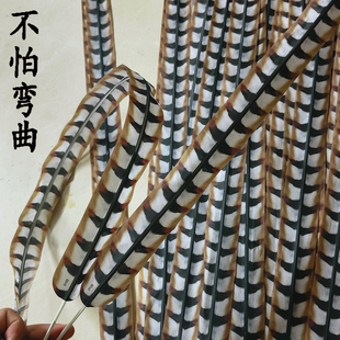 仿真翎毛野鸡毛雉鸡翎羽雉鸡俏花旦京剧醒狮头戏曲羽毛翎子座子