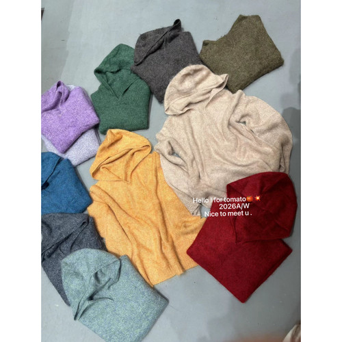 颜色好看到挑不过来11色早冬上新超绝内搭韩系连帽高品质花312564