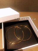 2020新款 嘻哈欧美极简celi风hoop大圆环耳饰夸张肯豆同款 耳钉