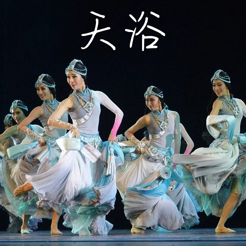 天浴藏族舞蹈演出服装女2025新款开场舞大摆裙套装民族风衣服成人