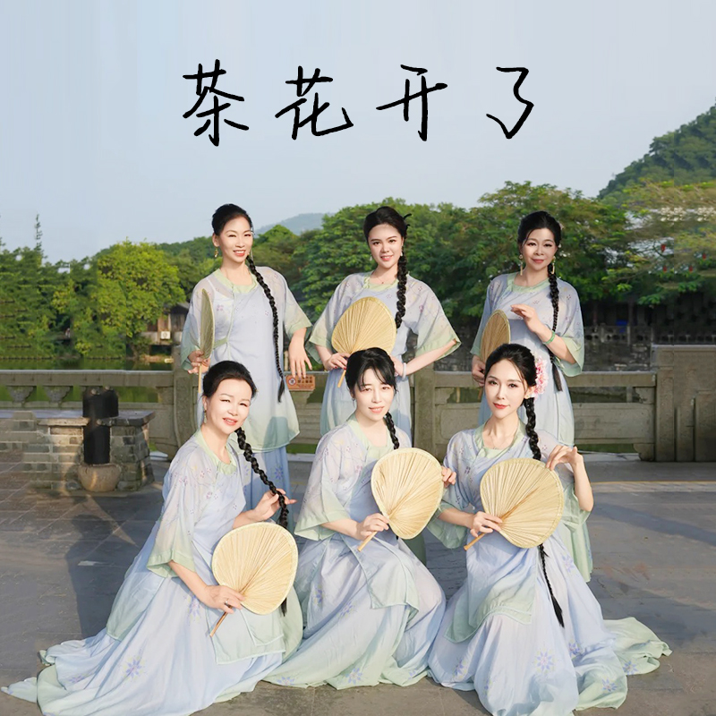 茶花开了演出服清风徐来舞蹈服装古典舞蹈服女中国风气质外衫裙子