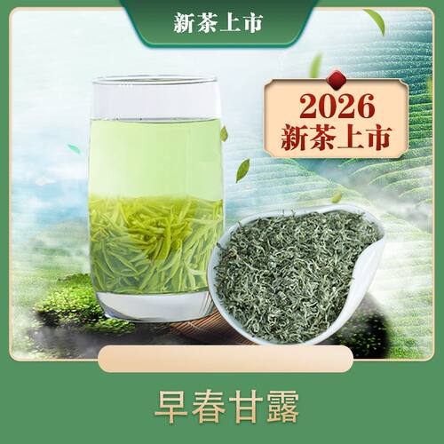 2026新茶蒙顶山毛峰明前碧螺春