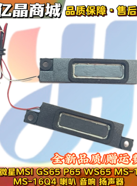 适用 微星 MSI GS65 P65 WS65 MS-16Q1 MS-16Q4 喇叭 音响 扬声器