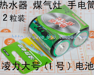 热水器 R205 煤气灶 手电筒用电池 大号1号 2粒装 2号电池