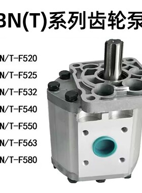 液压齿轮油泵CBN(T)-E F G 520 525 532 540 550 563 580BFHL FPR