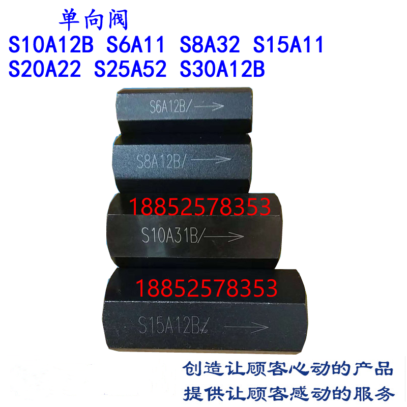 液压单向阀止回阀S10A12B