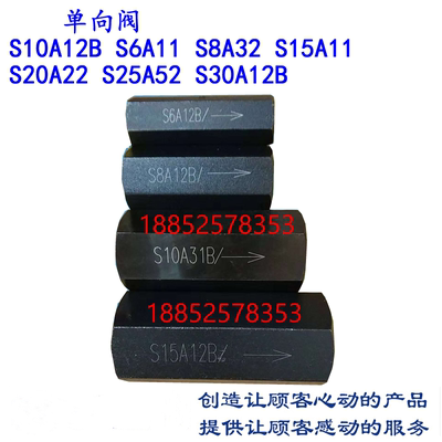 液压单向阀止回阀S10A12B